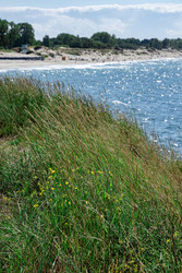 Similar image 22580976