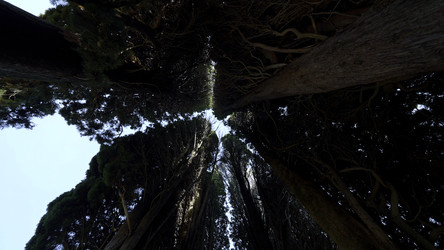 Similar image 22559899