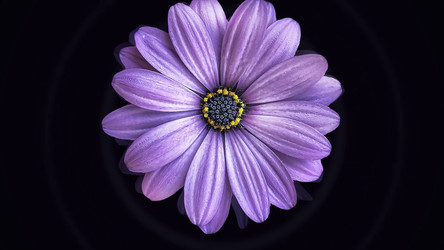 Similar image 22569644