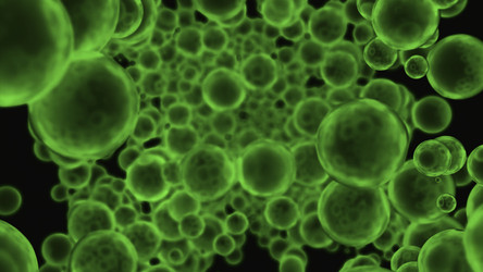 Similar image 22573032