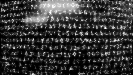 Similar image 22559041