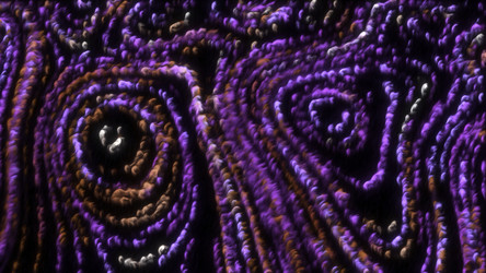 Similar image 22559850