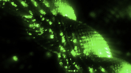 Similar image 22565670