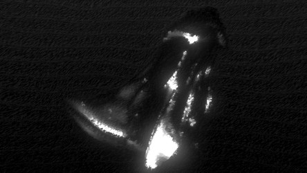 Similar image 22569492