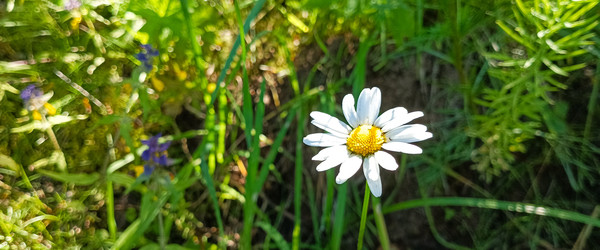 Similar image 22586536