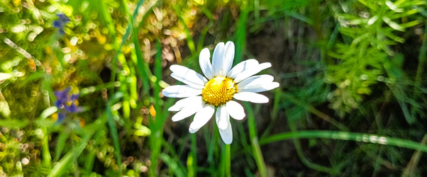 Similar image 22585402