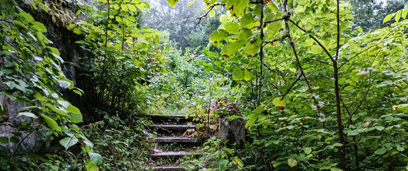 Similar image 22585405