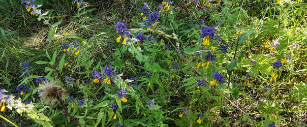 Similar image 22585419