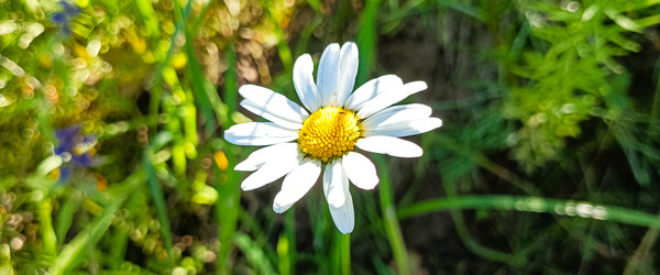 Similar image 22585421