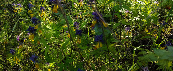 Similar image 22585424