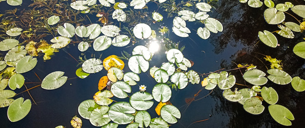 Similar image 22585428