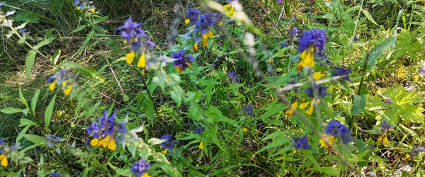 Similar image 22585430