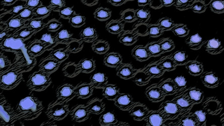 Similar image 22572679