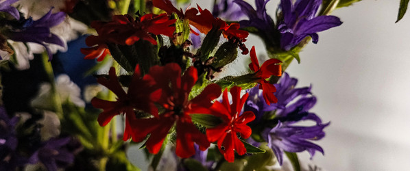Similar image 22585398