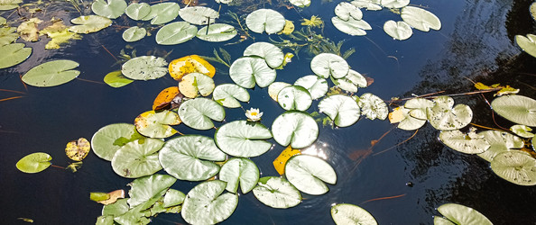 Similar image 22585399