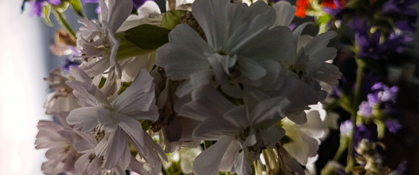 Similar image 22585406