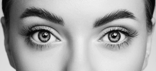 Similar image 22561699