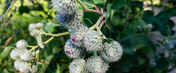 Similar image 22562895