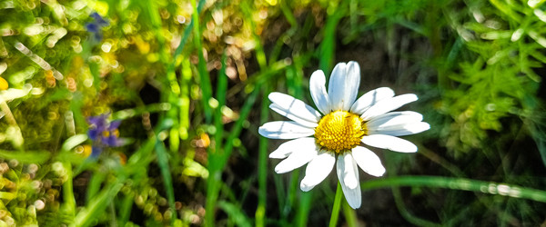 Similar image 22562687