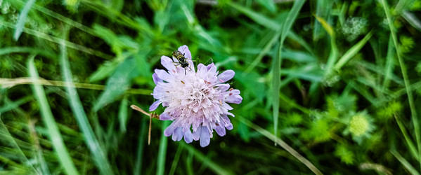 Similar image 22562901