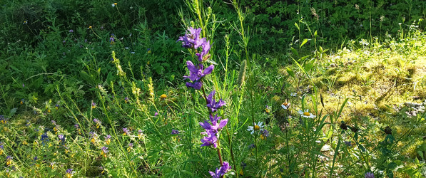 Similar image 22562904