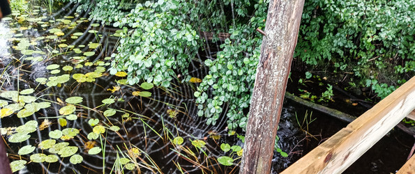 Similar image 22562905