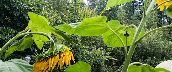 Similar image 22562907