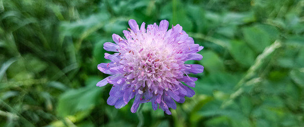 Similar image 22562748