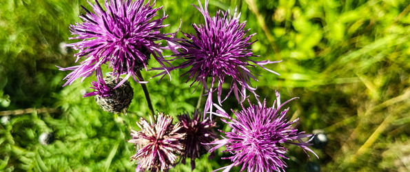 Similar image 22562752