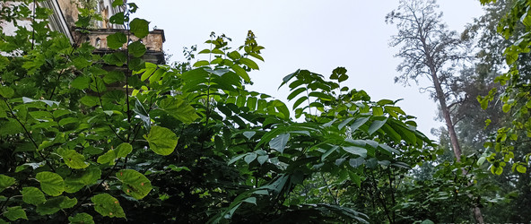 Similar image 22562753