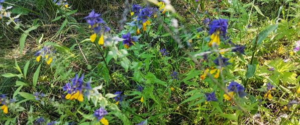 Similar image 22562688