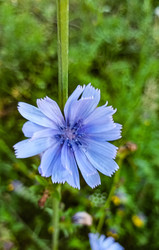 Similar image 22562754