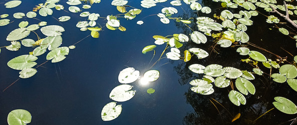 Similar image 22562757