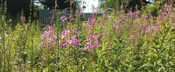 Similar image 22562702