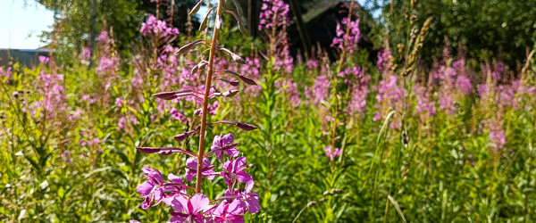 Similar image 22562703