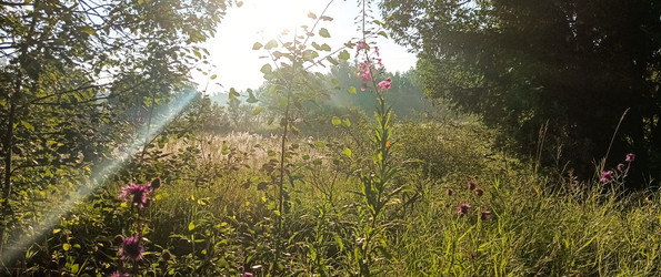 Similar image 22562707