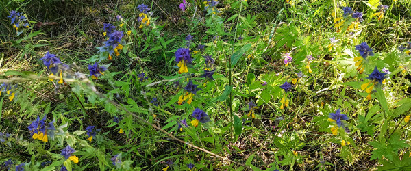 Similar image 22562709