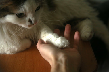 Similar image 22578324