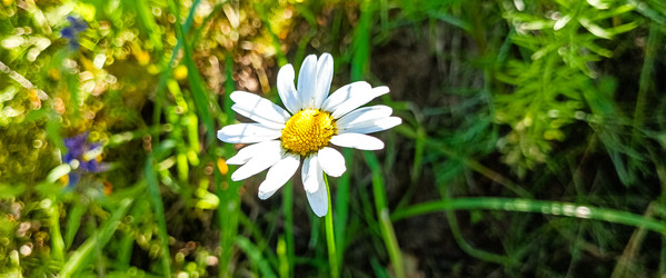 Similar image 22562714