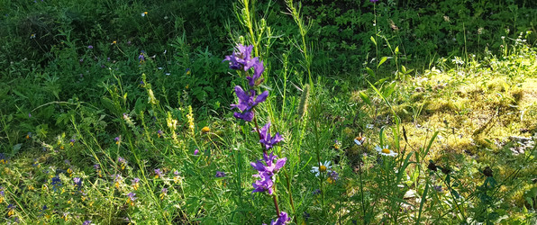 Similar image 22562715