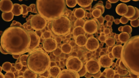 Similar image 22563948