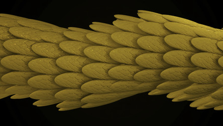 Similar image 22572861