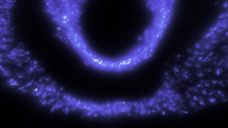 Similar image 22565814