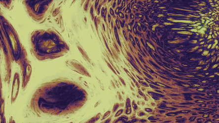 Similar image 22567367