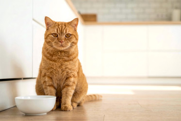 Similar image 22558943