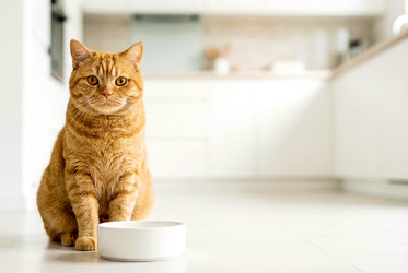 Similar image 22558944