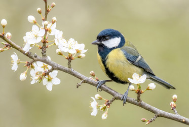 Similar image 22558947