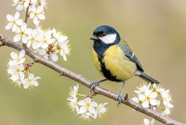 Similar image 22558949