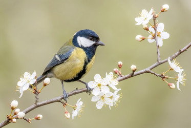 Similar image 22558950