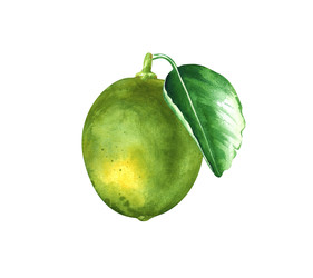 Similar image 22582996